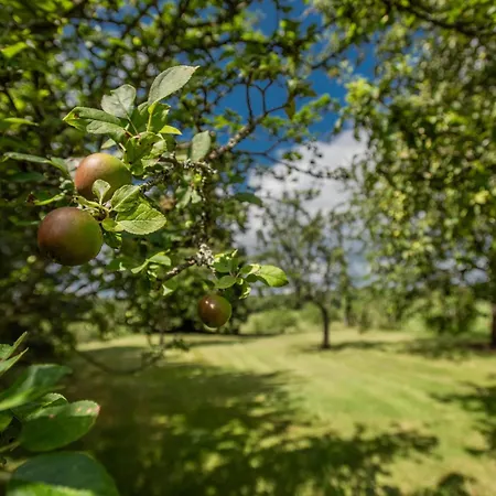 L Aiguillou Besse (Dordogne)