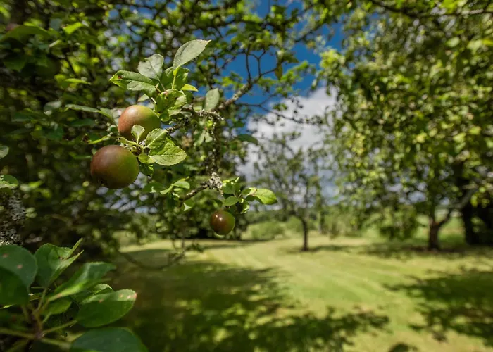 L Aiguillou Besse (Dordogne)
